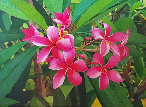 Flora 1